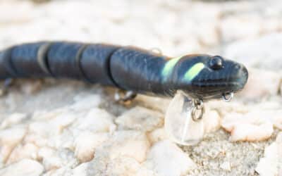 Savage Gear 3D Snake