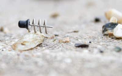 Nogales Nekorig Master