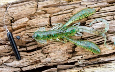 Bait Breath Rush Craw