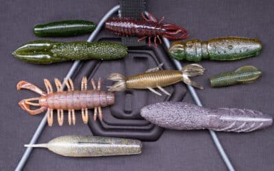 No Sinker Rig