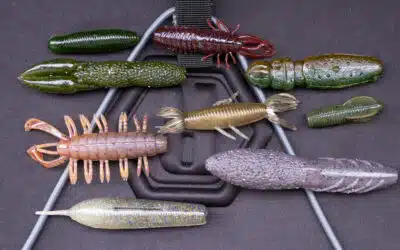 No Sinker Rig