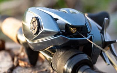 Shimano Aldebaran BFS 22