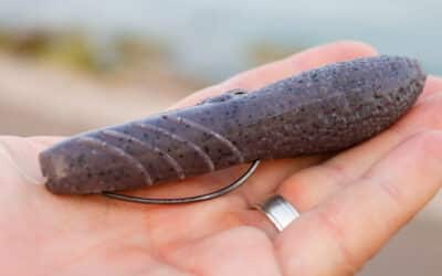 No Sinker Rig Köder Guide