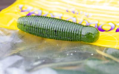 Gary Yamamoto X Smith Ltd Tail Less IMO Grub