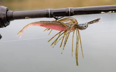 Richtig angeln mit Chatterbaits