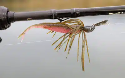 Richtig angeln mit Chatterbaits