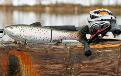 Hechtangeln mit Mono