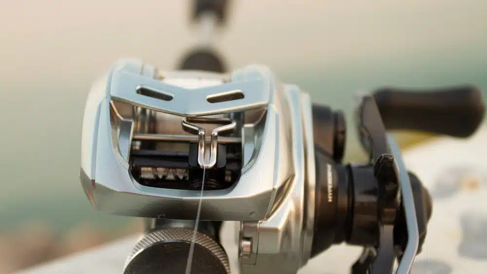 Daiwa Alphas SV TW 800S daiwa alphas ct sv 800 shallow 5890 2