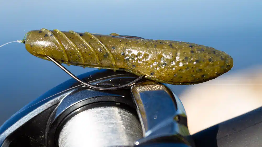 No Sinker Rig Köder Guide Deps Cover Scat