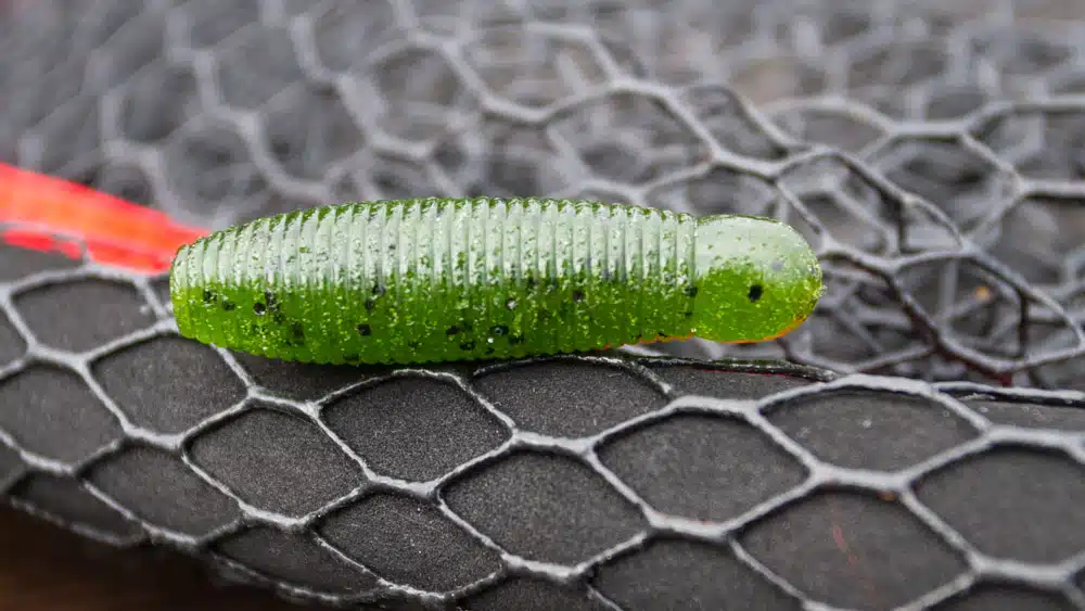 No Sinker Rig Köder Guide gary yamamoto tailless grub 5797 2