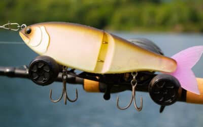 Swimbait Republic Glideway 176