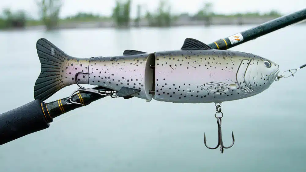 Faszination Glidebait baitsanity explorer 0568 2