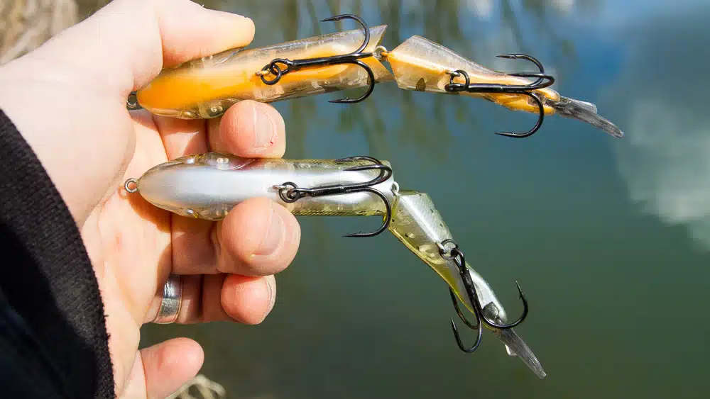 Faszination Glidebait glidebait tuning 5860 2