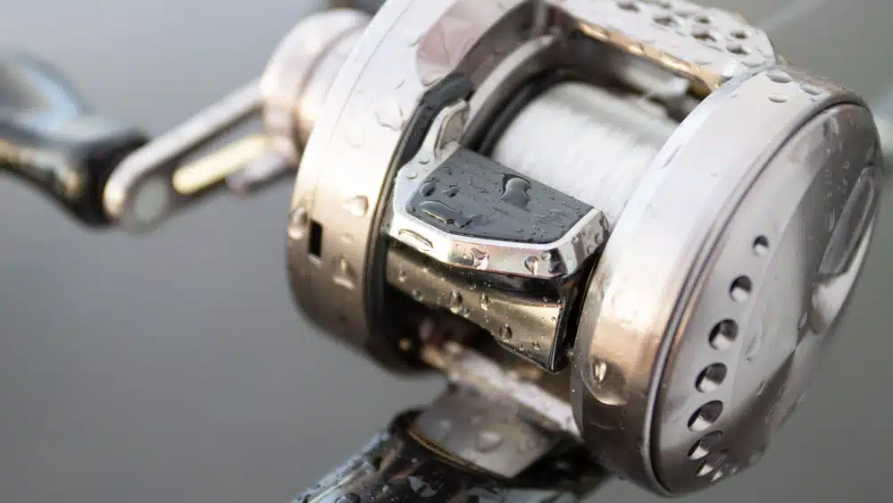 Shimano Calcutta Conquest BFS 23 shimano calcutta conquest bfs 6581 2