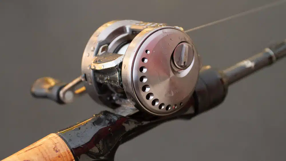 Shimano Calcutta Conquest BFS 23 shimano calcutta conquest bfs 6600 2