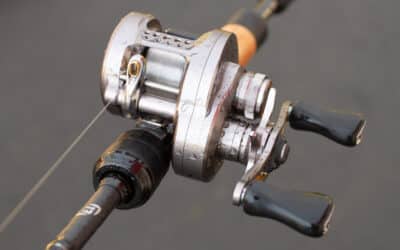 Shimano Calcutta Conquest BFS 23