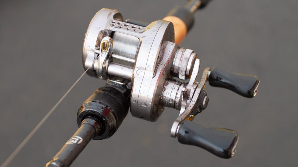 Shimano Calcutta Conquest BFS 23 - ANGEL-KNIFFE