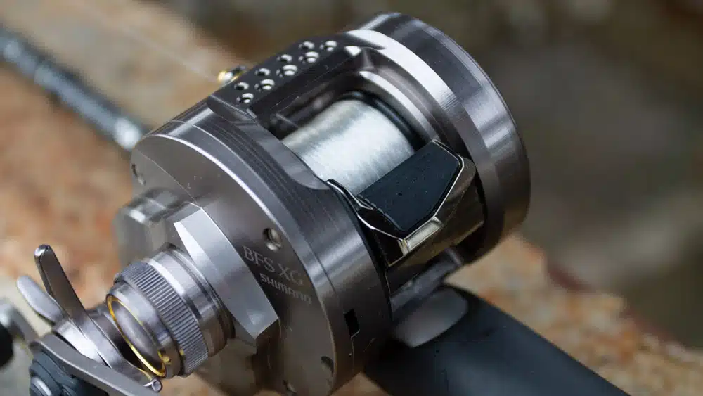 Shimano Calcutta Conquest BFS 23 shimano calcutta conquest bfs 6658 2