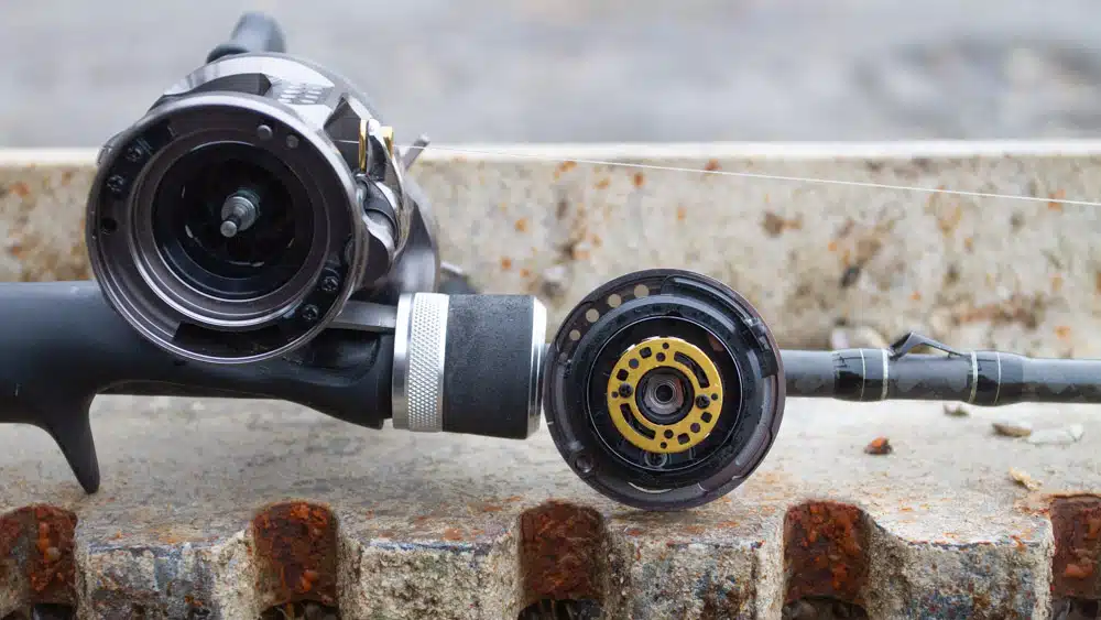 Shimano Calcutta Conquest BFS 23 shimano calcutta conquest bfs 6667 2
