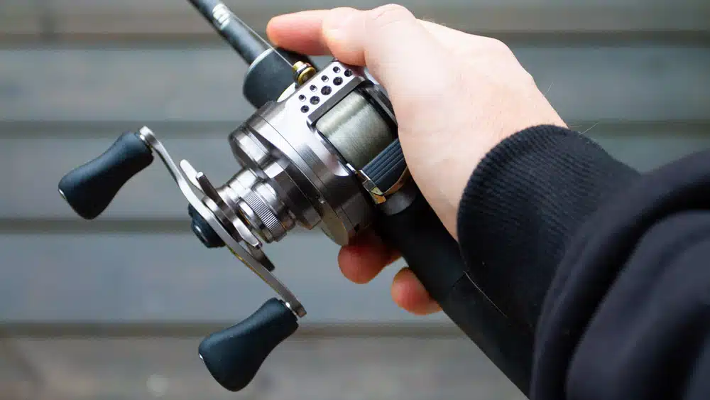 Shimano Calcutta Conquest BFS 23 shimano calcutta conquest bfs 7077 2