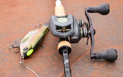 Faszination Glidebait