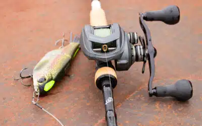 Faszination Glidebait