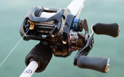 Daiwa Zillion 10 SV TW