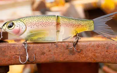 Spro KGB Chad Shad
