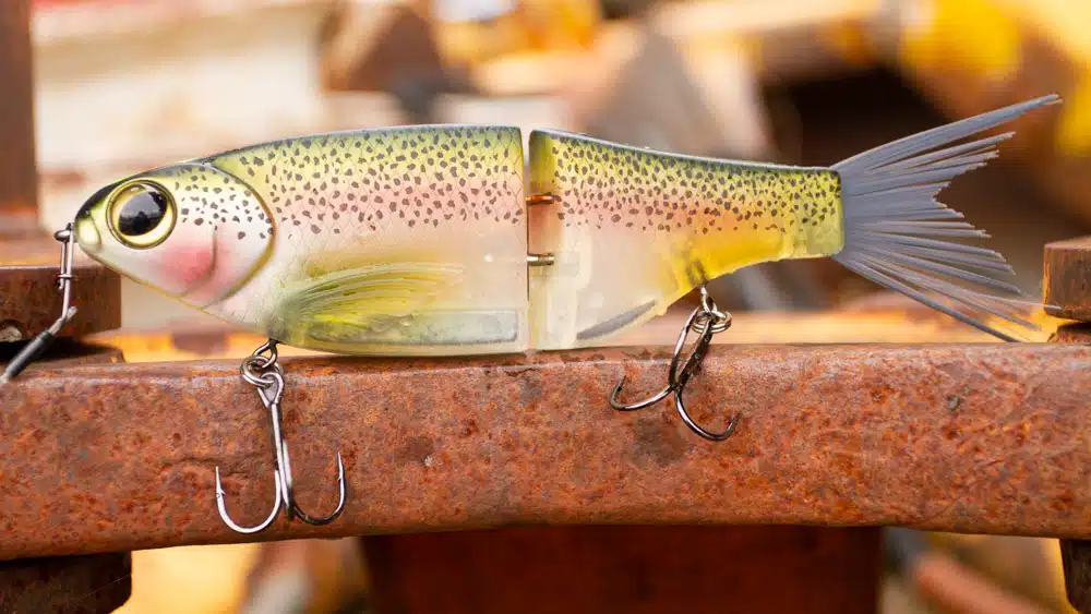 Swimbaits - Mindset, Tackle und Technik Spro KGB Chad Shad
