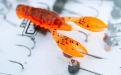 Z-Man TRD Crawz