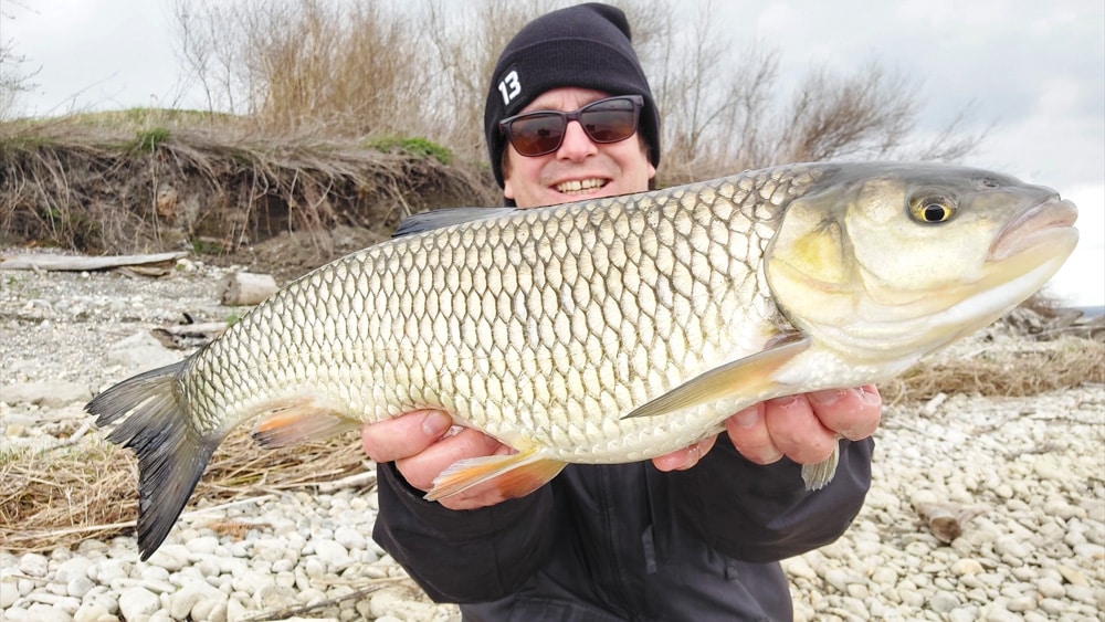 Wakebait angeln mit Erfolg