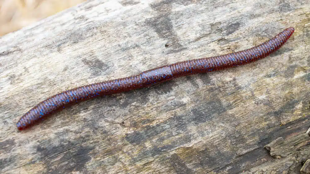 Worm Guide jackall flick shake 4461 2