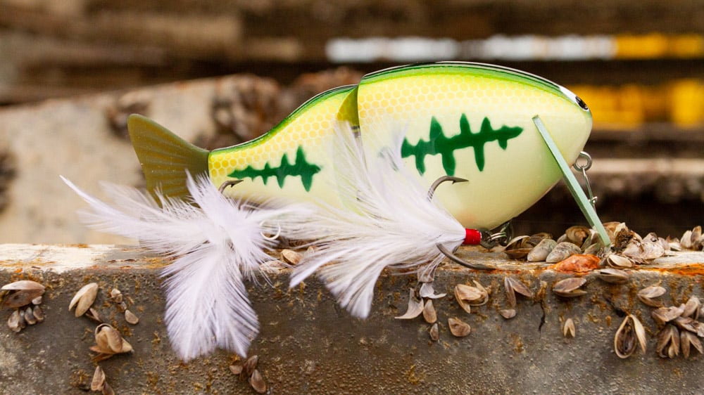 Swimbait und Glidebait Guide - ANGEL-KNIFFE