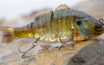 Bluegill Swimbaits