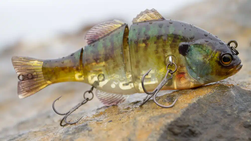 Bluegill Swimbaits jackall chibitarel dead rise 4133 2