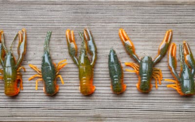 Gummikrebs ohne Alles