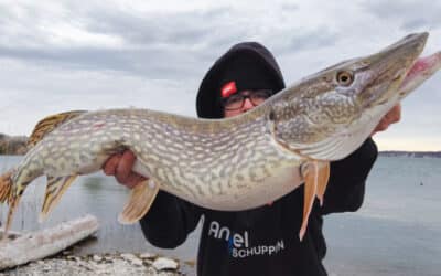 Molix Glide Bait 140