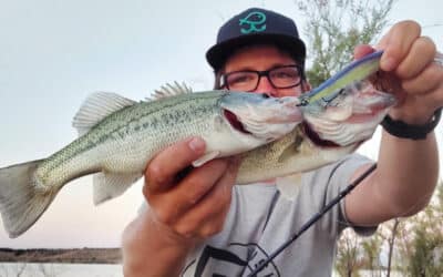 Yo-Zuri 3DB Jerkbait 110 SP