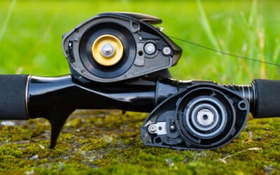Daiwa Tatula TW 100