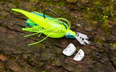 Adusta Various Chatter