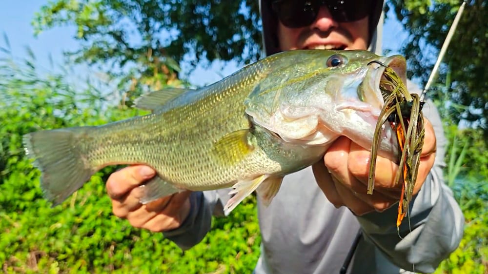 Rapala CrushCity Cleanup Craw