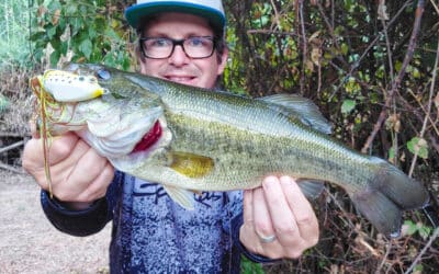 Z-Man Leap FrogZ – Walking & Popping