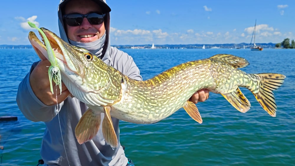 Rapala CrushCity The Stingman