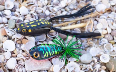 Frog Fishing: Hollow Body Frog VS Thai Frog