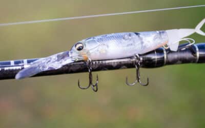 Imakatsu Baby Killer Bill