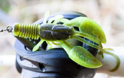 Adusta Gadget Craw 