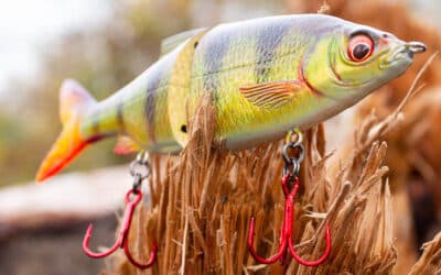 Swimbait Tuning