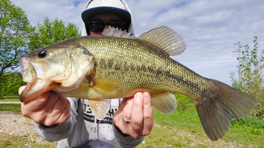 Bassangeln am Paylake bass laghettocabrusa 4