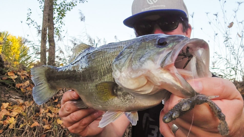 Bassangeln am Paylake