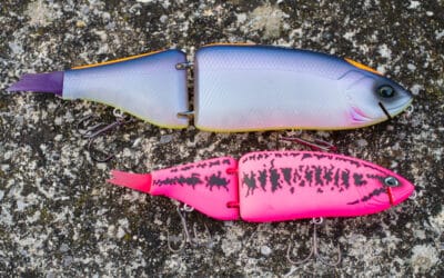 Swimbaits – Floater oder Sinker